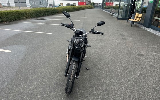 Neufahrzeug Ducati Scrambler Icon Dark - Bild 2