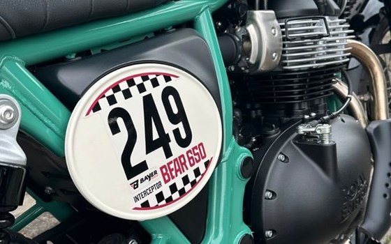 Neufahrzeug Royal Enfield Bear 650 - Bild 5