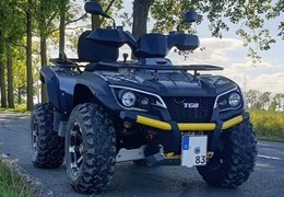 Gebrauchte TGB Blade 1000 EFi LT 4x4