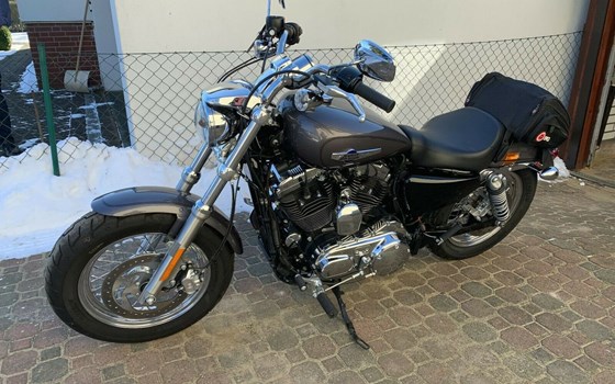Gebrauchtmotorrad Harley-Davidson Sportster XL 1200 - Bild 1