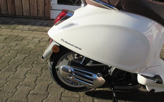 Neufahrzeug Vespa Primavera 125 - Bild 11