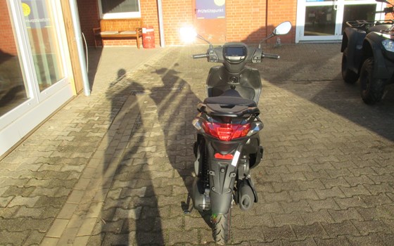 Neufahrzeug Piaggio Liberty 50 - Bild 4