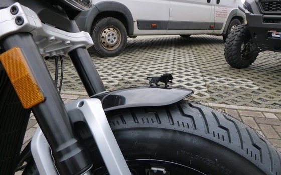 Neufahrzeug Benelli Leoncino Bobber 400 - Bild 3