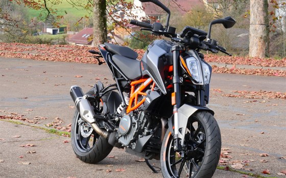 Gebrauchtmotorrad KTM 390 Duke - Bild 3
