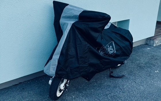 Gebrauchtmotorrad Royal Alloy GP 300 LC ABS - Bild 4