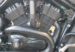 Gebrauchte Harley-Davidson V-Rod VRSCX