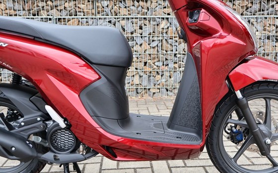 Neufahrzeug Honda Vision 110 - Bild 14