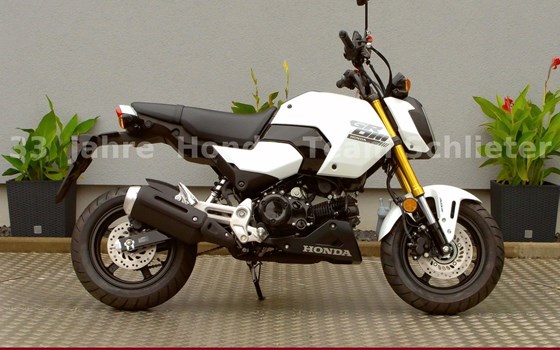 Neufahrzeug Honda MSX125 Grom - Bild 1