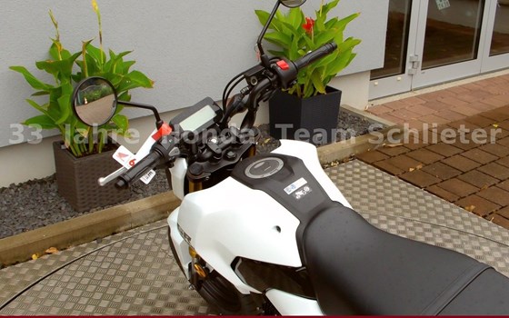 Neufahrzeug Honda MSX125 Grom - Bild 11