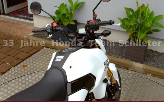 Neufahrzeug Honda MSX125 Grom - Bild 13