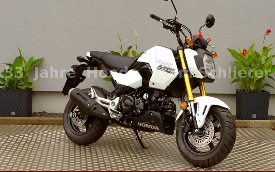 Neufahrzeug Honda MSX125 Grom - Bild 2