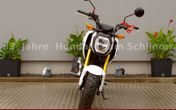 Neufahrzeug Honda MSX125 Grom - Bild 3