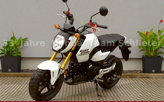 Neufahrzeug Honda MSX125 Grom - Bild 4