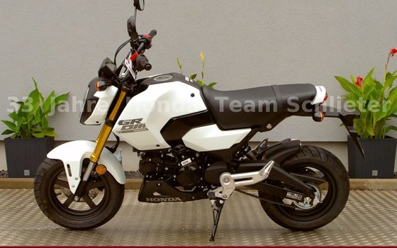 Neufahrzeug Honda MSX125 Grom - Bild 5