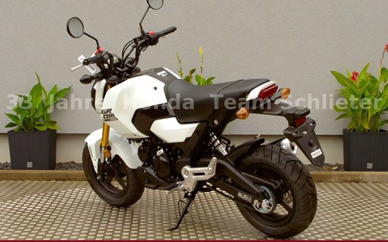 Neufahrzeug Honda MSX125 Grom - Bild 6