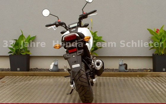 Neufahrzeug Honda MSX125 Grom - Bild 7