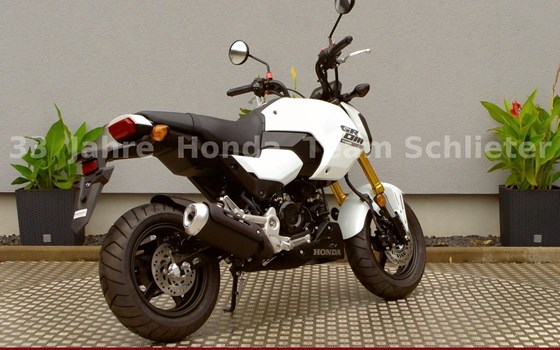 Neufahrzeug Honda MSX125 Grom - Bild 8