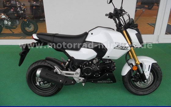 Neufahrzeug Honda MSX125 Grom - Bild 1