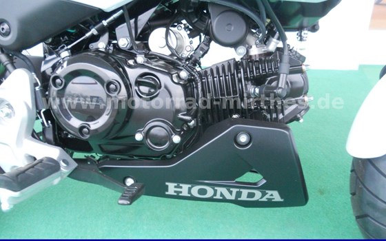 Neufahrzeug Honda MSX125 Grom - Bild 7