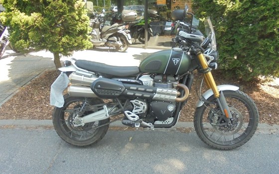 Gebrauchtmotorrad Triumph Scrambler 1200 XE - Bild 2