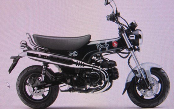 Neufahrzeug Honda Dax - Bild 1