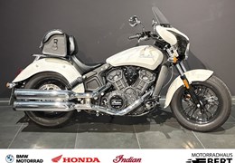 Gebrauchte Indian Scout