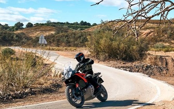 Neufahrzeug KTM 790 Adventure - Bild 5