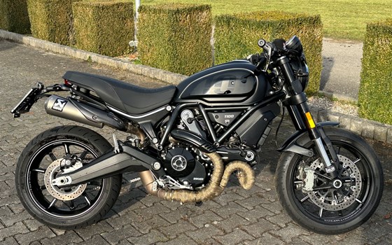 Gebrauchtmotorrad Ducati Scrambler 1100 Dark PRO - Bild 1