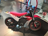 Neumotorrad Rieju MX 50 Kindercross Elektro Cross
