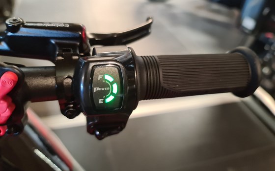 Neufahrzeug Rieju MX 50 Kindercross - Bild 6