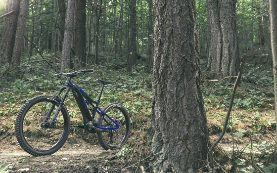 Gebrauchtmotorrad Yamaha Moro 07 - Bild 9