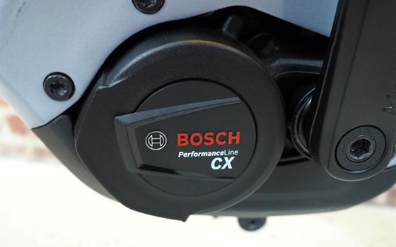 Neufahrzeug Trenoli LIVENZA WAVE - Bild 4