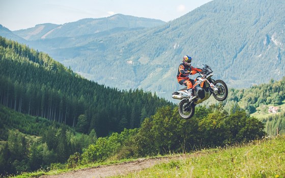 Gebrauchtmotorrad KTM 890 Adventure R Rally - Bild 20