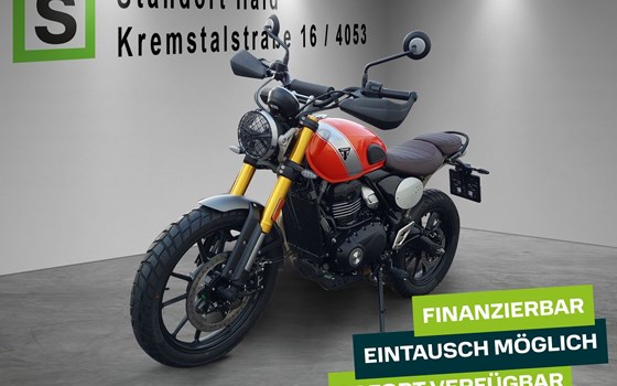 Neufahrzeug Triumph Scrambler 400 X - Bild 2