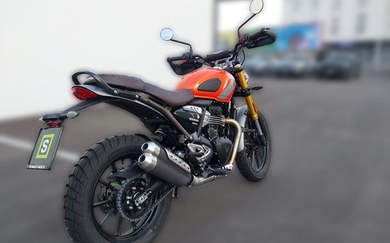 Neufahrzeug Triumph Scrambler 400 X - Bild 6