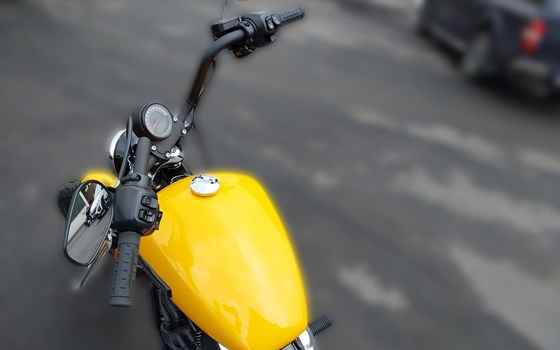 Neufahrzeug Harley-Davidson Street Bob 117 - Bild 9