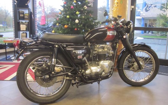 Gebrauchtmotorrad Triumph Bonneville T140V - Bild 4