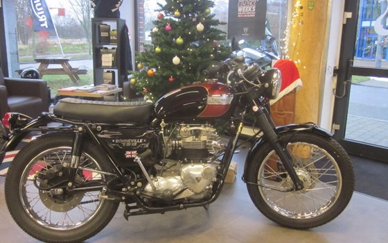 Gebrauchtmotorrad Triumph Bonneville T140V - Bild 6