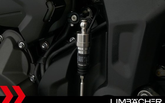 Gebrauchtmotorrad Triumph Trident 660 - Bild 14