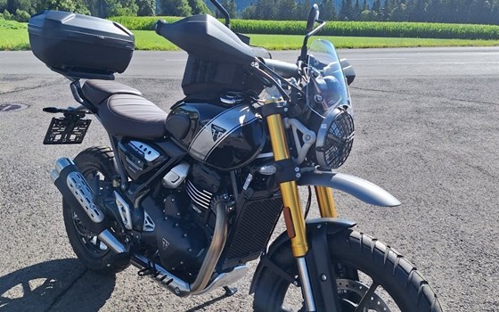 Neufahrzeug Triumph Scrambler 400 X - Bild 4