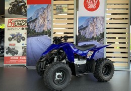 Gebrauchte Yamaha YFZ50