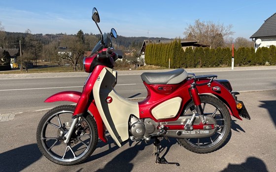 Gebrauchtmotorrad Honda Super Cub C 125 - Bild 4