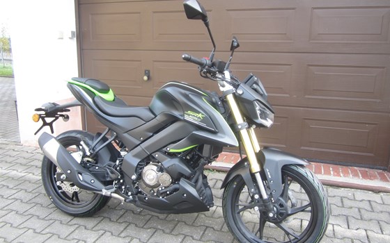 Neufahrzeug QJ Motor SRK 125 S - Bild 6