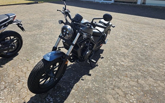 Gebrauchtmotorrad Honda CMX500 Rebel - Bild 1