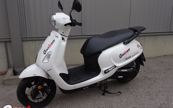 Neufahrzeug Sym Fiddle 125 ABS E5 - Bild 1