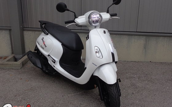 Neufahrzeug Sym Fiddle 125 ABS E5 - Bild 5