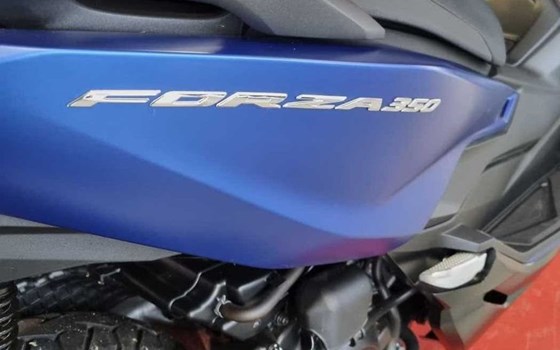 Gebrauchtmotorrad Honda Forza 350 - Bild 4