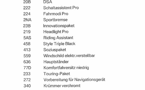 Gebrauchtmotorrad BMW R 1300 GS - Bild 2