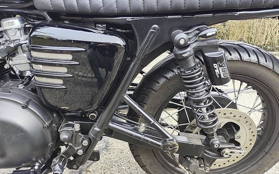 Motorrad Occasion Triumph Bonneville T100 - Bild 5