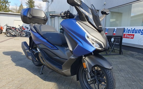 Neufahrzeug Honda Forza 125 - Bild 4